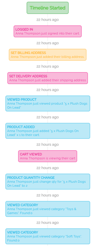 Abandoned Cart Activity Timeline